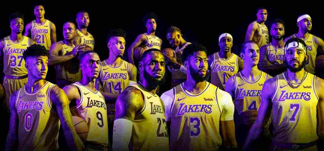 的肋部保护 的肋部保护